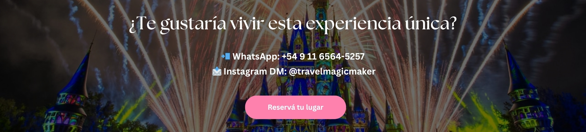 Banner final web Disney